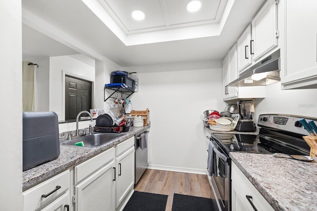 900 SW 62nd Blvd Unit I56, Gainesville, FL 32607 - kitchen with stainless steel appliances, under cabinet range hood, light wood-style flooring, white cabinets, and a tray ceiling