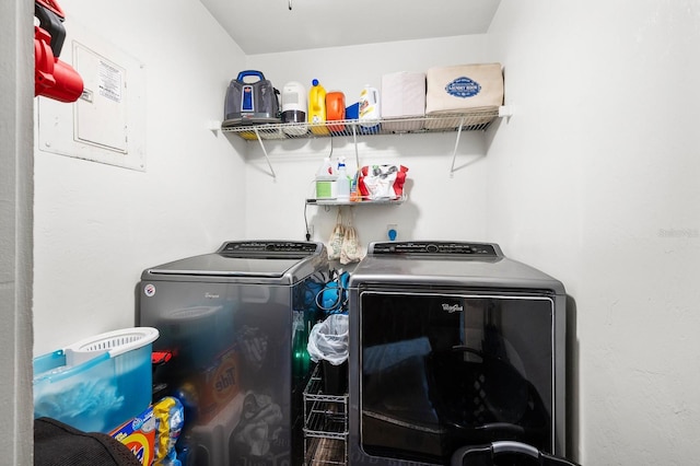 900 SW 62nd Blvd Unit I56, Gainesville, FL 32607 - laundry room featuring separate washer and dryer and electric panel