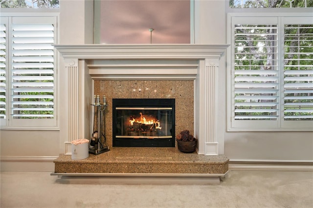 5025 NW 51st Pl, Gainesville, FL 32606 - detailed view of a premium fireplace and carpet