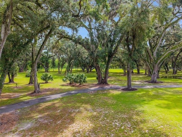 12002 SW 89th St, Gainesville, FL 32608 - photo 86