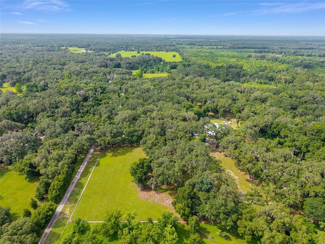 12002 SW 89th St, Gainesville, FL 32608 - photo 93