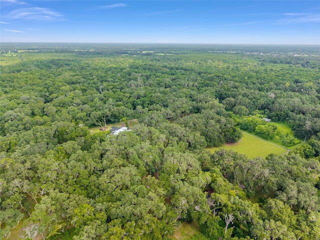 12002 SW 89th St, Gainesville, FL 32608 - photo 95