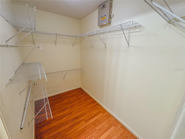 2710 SW 14th Dr, Gainesville, FL 32608 - walk in closet with light wood-style floors