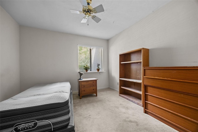3938 NW 29th Ln, Gainesville, FL 32606 - photo 9
