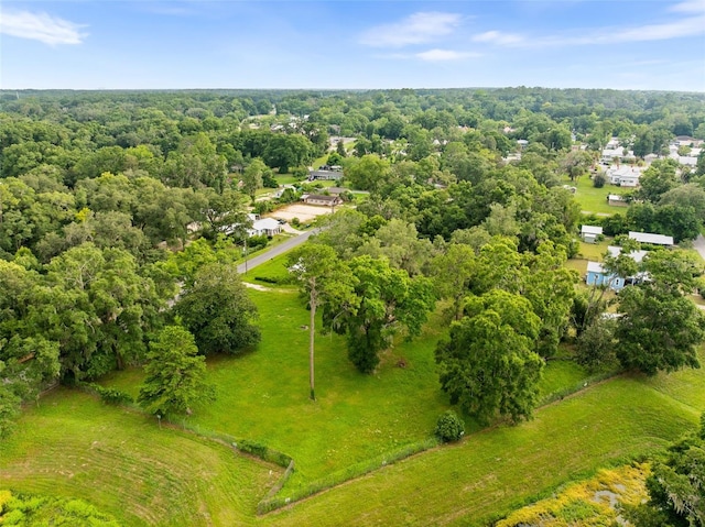 13706 NW 147th Ave, Alachua, FL 32615 - photo 11