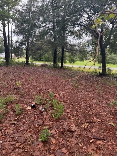 17830 SE 60th Ln, Morriston, FL 32668 - photo 13