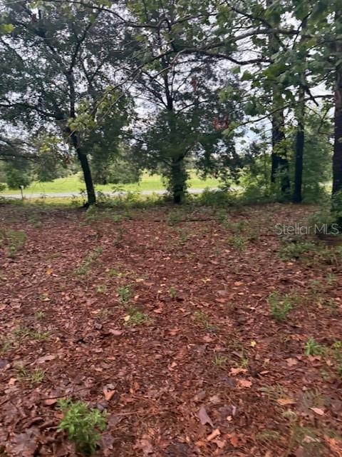 17830 SE 60th Ln, Morriston, FL 32668 - photo 21