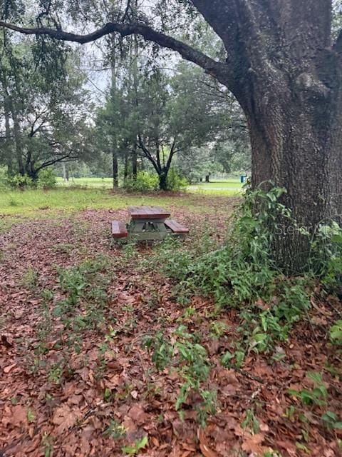 17830 SE 60th Ln, Morriston, FL 32668 - photo 23
