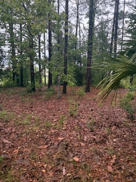17830 SE 60th Ln, Morriston, FL 32668 - photo 24