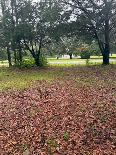 17830 SE 60th Ln, Morriston, FL 32668 - photo 25
