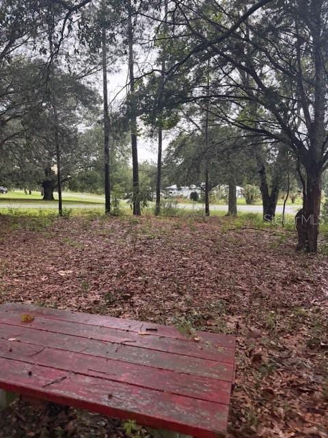 17830 SE 60th Ln, Morriston, FL 32668 - photo 26