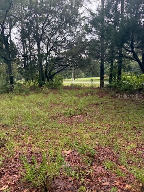 17830 SE 60th Ln, Morriston, FL 32668 - photo 27
