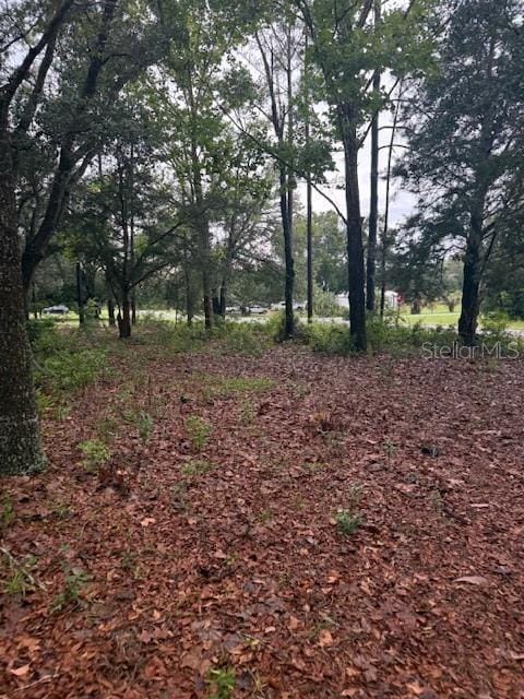 17830 SE 60th Ln, Morriston, FL 32668 - photo 28