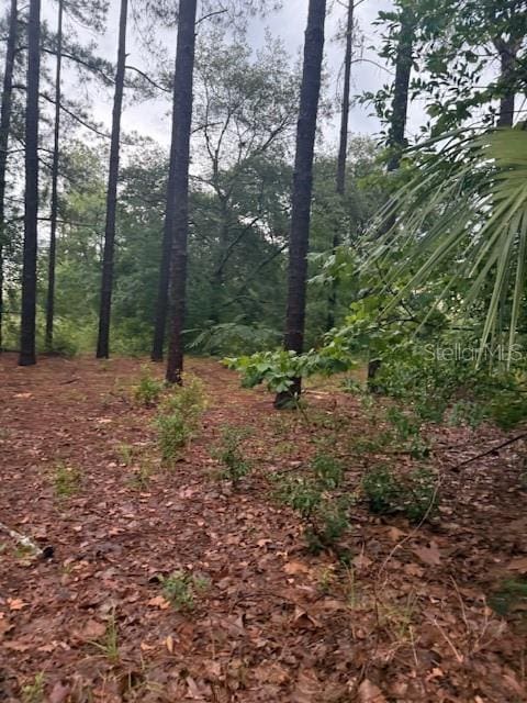 17830 SE 60th Ln, Morriston, FL 32668 - photo 29
