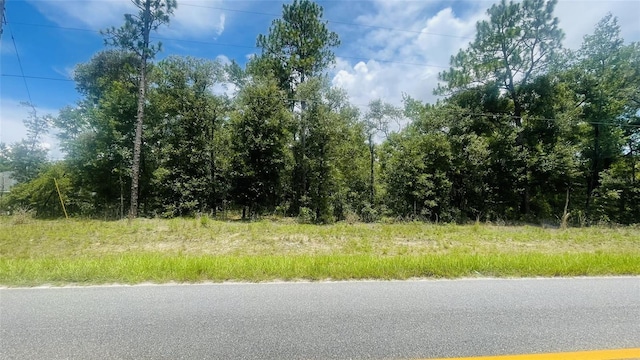 LOTS485 NE 80th St, Bronson, FL 32621 - photo 2