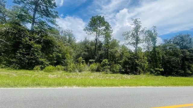 LOTS485 NE 80th St, Bronson, FL 32621 - photo 3