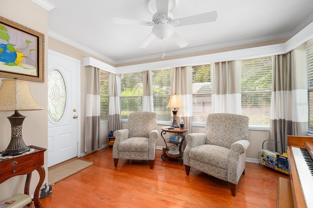 4705 SW 80th Ter, Gainesville, FL 32608 - living area featuring ornamental molding, light wood-type flooring, and ceiling fan