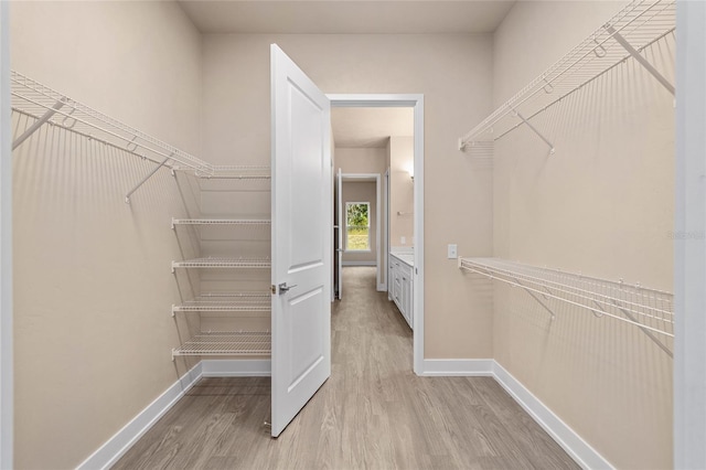 1080 NW 132nd Blvd, Newberry, FL 32669 - walk in closet featuring light wood finished floors