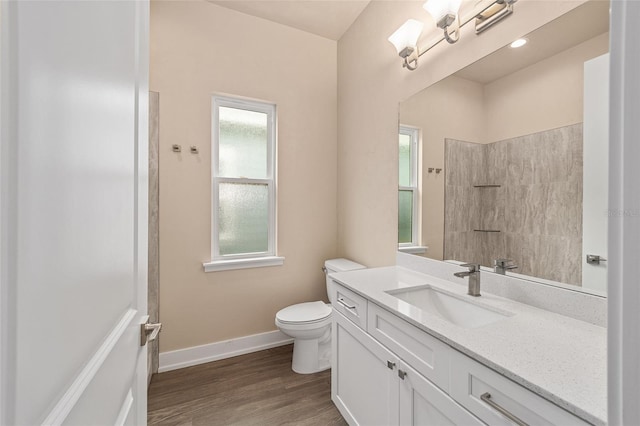1080 NW 132nd Blvd, Newberry, FL 32669 - bathroom with vanity, a shower, and wood finished floors