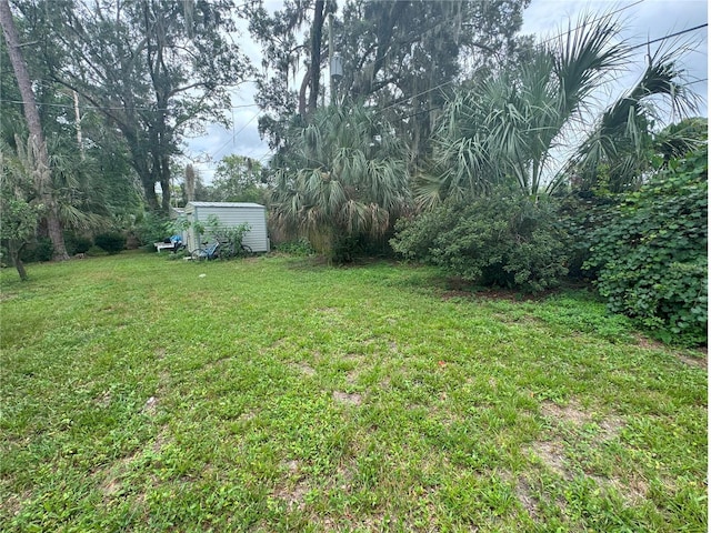 1215 NE 21st Ave, Gainesville, FL 32609 - view of grassy yard with a storage unit