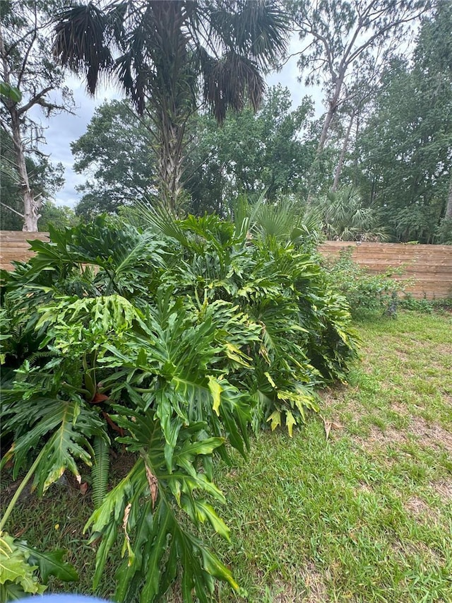 1215 NE 21st Ave, Gainesville, FL 32609 - view of yard