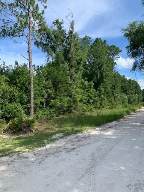 NW 25th Ct, Branford, FL 32008 - photo 2