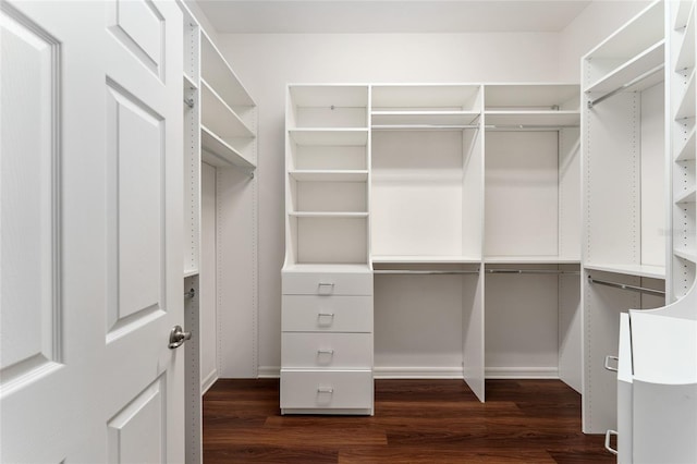 8650 SW 26th Ln, Gainesville, FL 32608 - walk in closet with dark wood finished floors