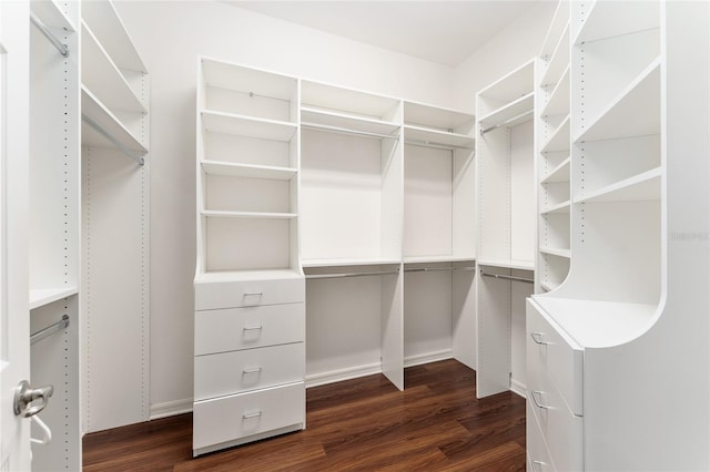 8650 SW 26th Ln, Gainesville, FL 32608 - walk in closet with dark wood-style flooring