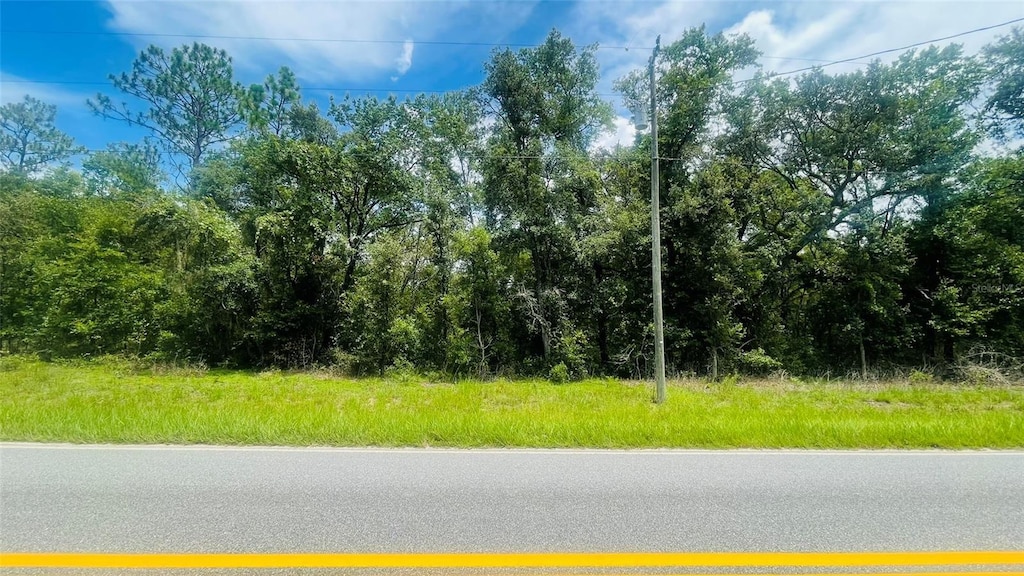 LOT486 NE 80th St, Bronson, FL 32621 - photo 2