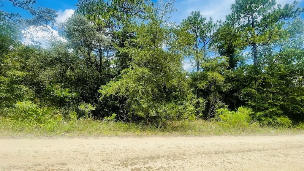 LOT487 NE 102nd Ct, Bronson, FL 32621 - photo 2