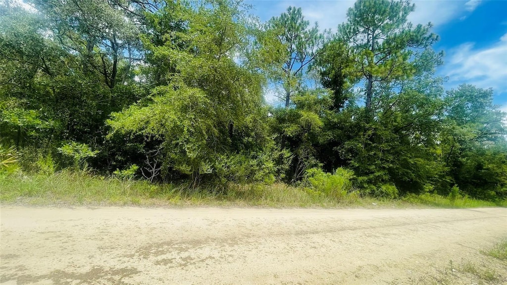 LOT487 NE 102nd Ct, Bronson, FL 32621 - photo 3
