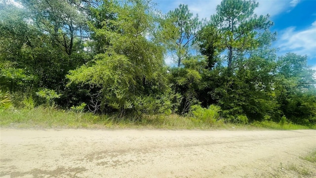 LOT487 NE 102nd Ct, Bronson, FL 32621 - photo 3