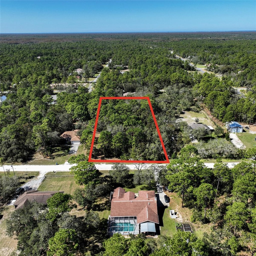 16183 Magnolia Warbler Rd, Brooksville, FL 34614 - photo 1