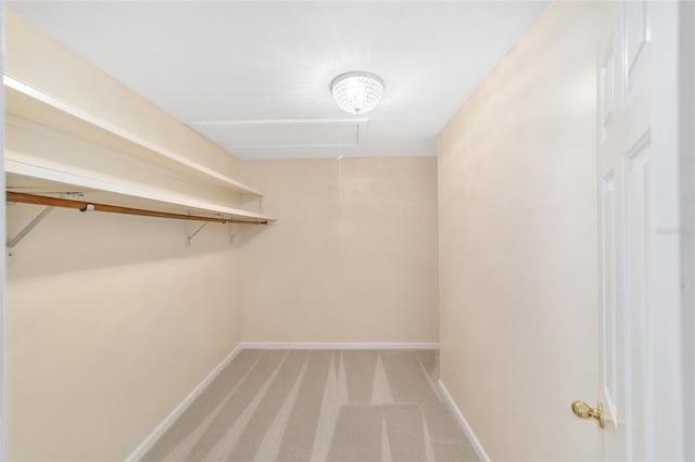 928 SW 98th St, Gainesville, FL 32607 - photo 29