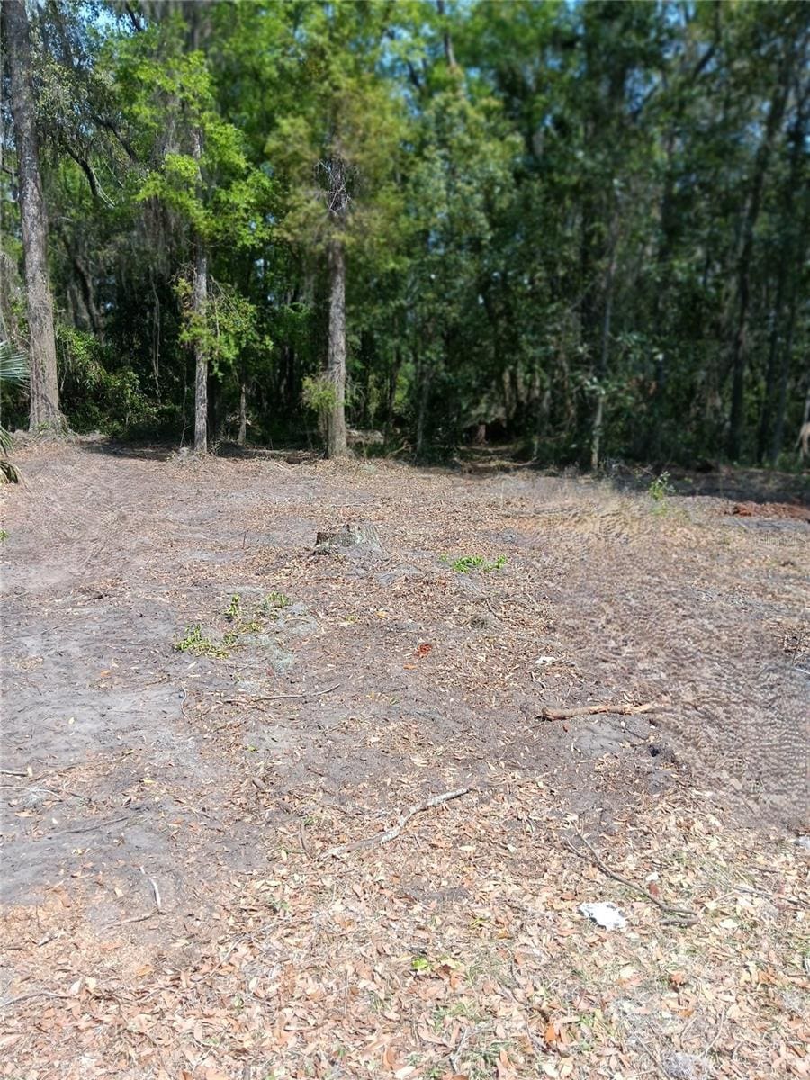 TBD NE Bascom Norris Dr, Lake City, FL 32024 - photo 2