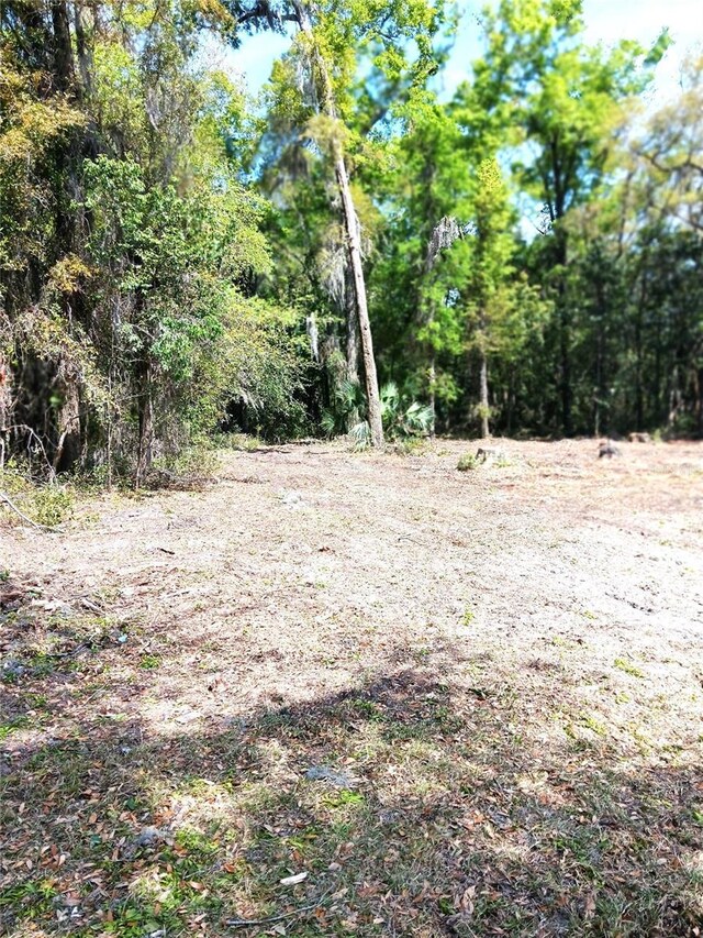 TBD NE Bascom Norris Dr, Lake City, FL 32024 - photo 3