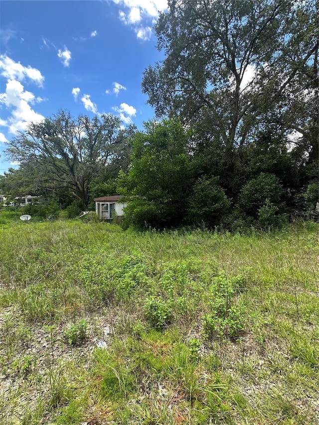 15950 NE 4th Pl, Williston, FL 32696 - photo 1