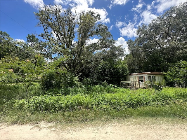 15950 NE 4th Pl, Williston, FL 32696 - photo 2