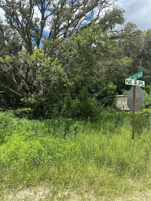 15950 NE 4th Pl, Williston, FL 32696 - photo 3