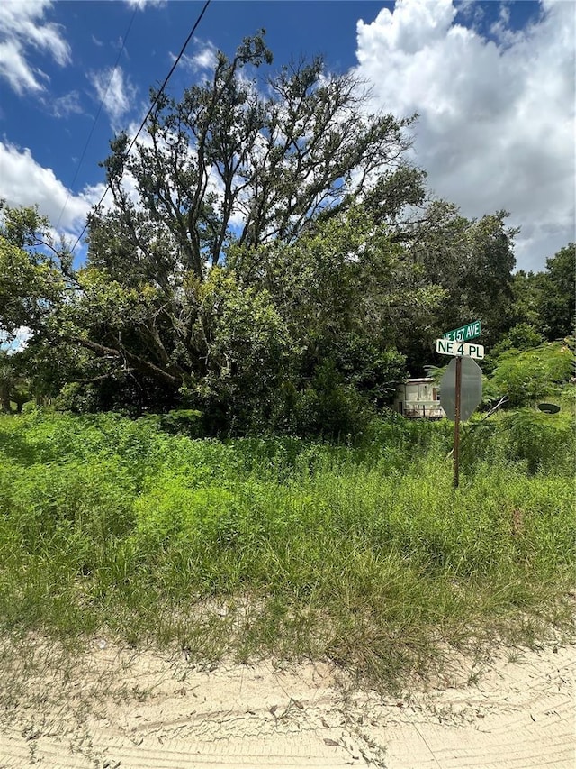 15950 NE 4th Pl, Williston, FL 32696 - photo 4