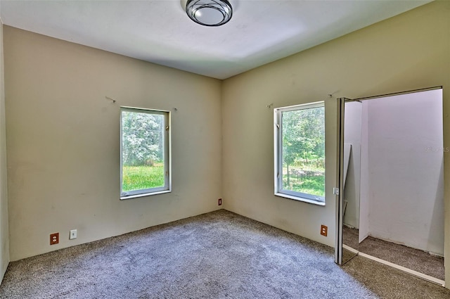 4801 SW 63rd Blvd, Gainesville, FL 32608 - photo 14