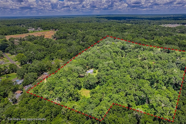 4801 SW 63rd Blvd, Gainesville, FL 32608 - photo 22