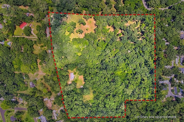 4801 SW 63rd Blvd, Gainesville, FL 32608 - photo 23