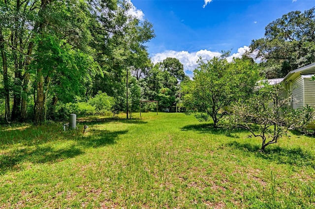 4801 SW 63rd Blvd, Gainesville, FL 32608 - photo 29