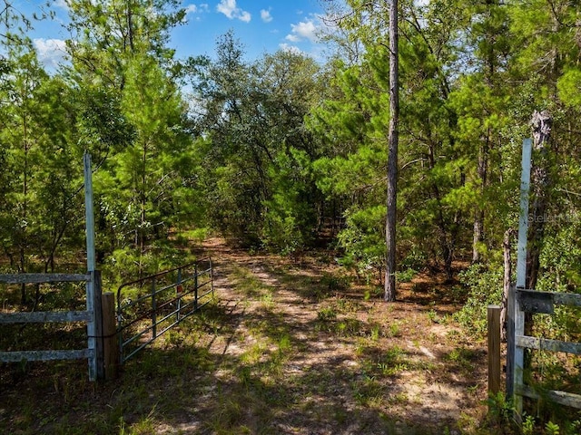 6474 Golden Oak Ln, Keystone Heights, FL 32656 - photo 1