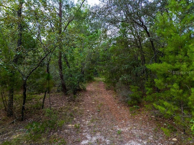 6474 Golden Oak Ln, Keystone Heights, FL 32656 - photo 4