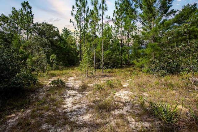 6474 Golden Oak Ln, Keystone Heights, FL 32656 - photo 5