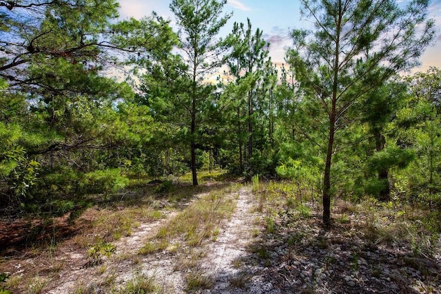 6474 Golden Oak Ln, Keystone Heights, FL 32656 - photo 6