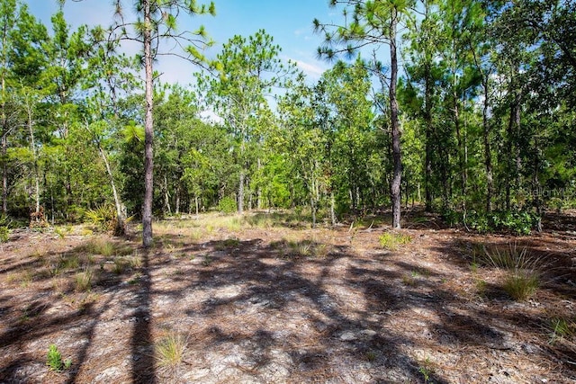6474 Golden Oak Ln, Keystone Heights, FL 32656 - photo 8