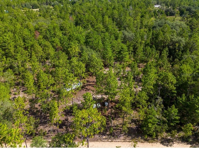 6474 Golden Oak Ln, Keystone Heights, FL 32656 - photo 10